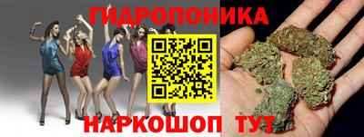 эйфоретик Лесосибирск